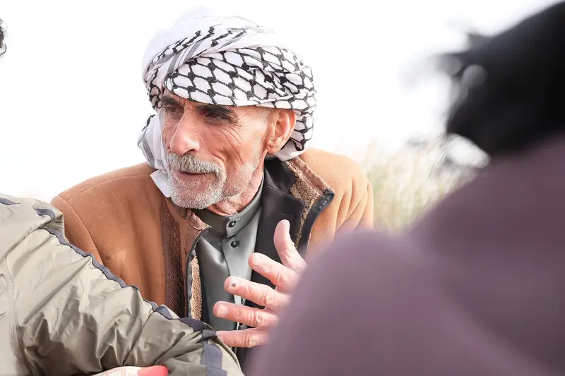 A marsh Arab poling a mashoof through the reeds in Chibayish