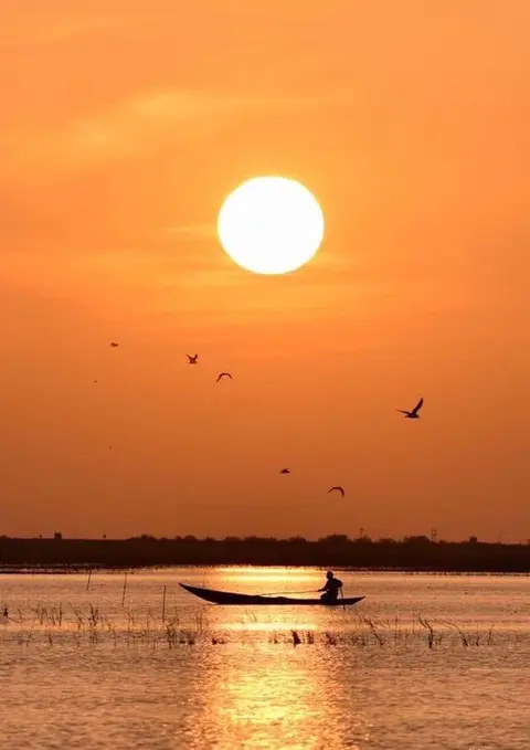 Sunset over the reed beds of the Mesopotamian Marshes