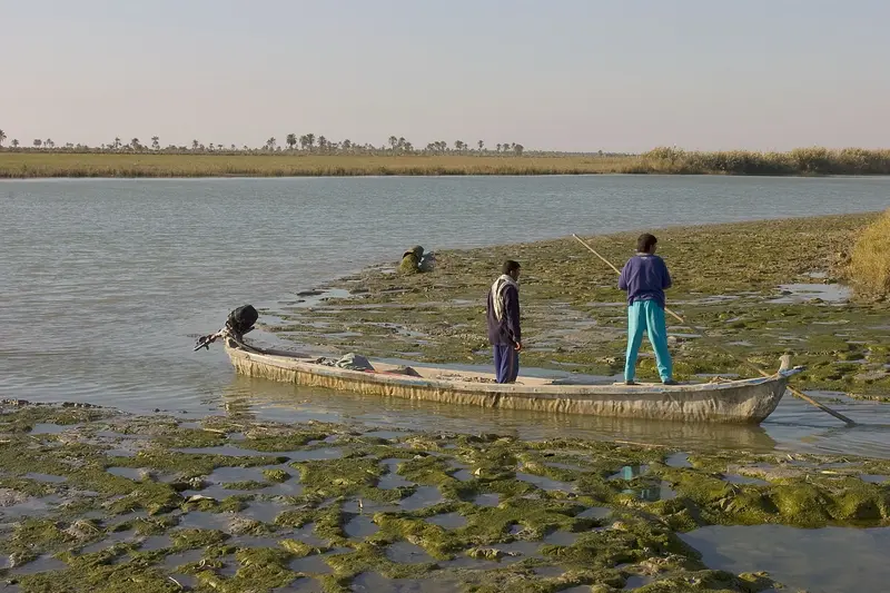 Fishermen poling a traditional mashoof along a marsh channel
